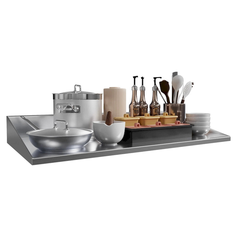 Moasis Wall-Mounted Stainless Steel Kitchen Storage Rack -48 x 12 Inches