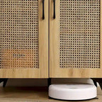 Meuble à chaussures à double porte en rotin tressé, avec grand espace de rangement et structure durable